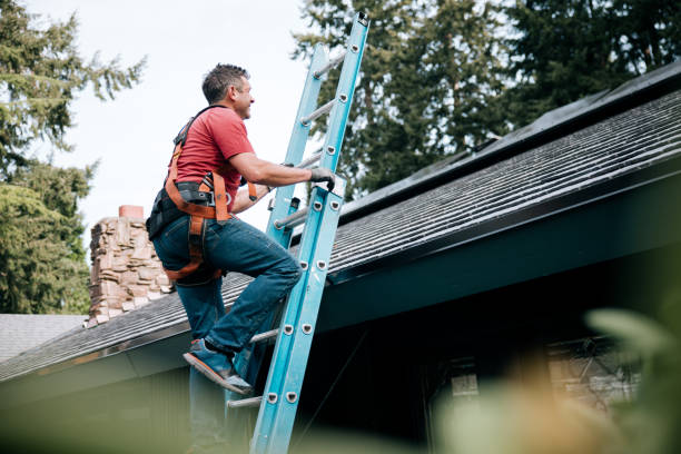 Best Asphalt Shingles Roofing  in Cambridge, MD